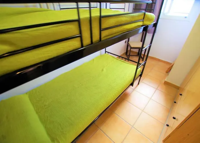 V&v Lloret- Ocells *