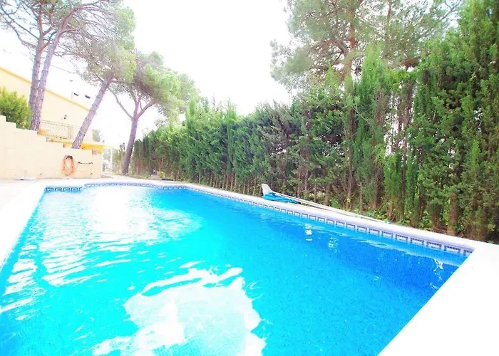 V&v Lloret- Ocells *