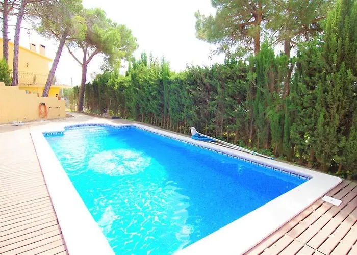 Willa V&v Lloret- Ocells