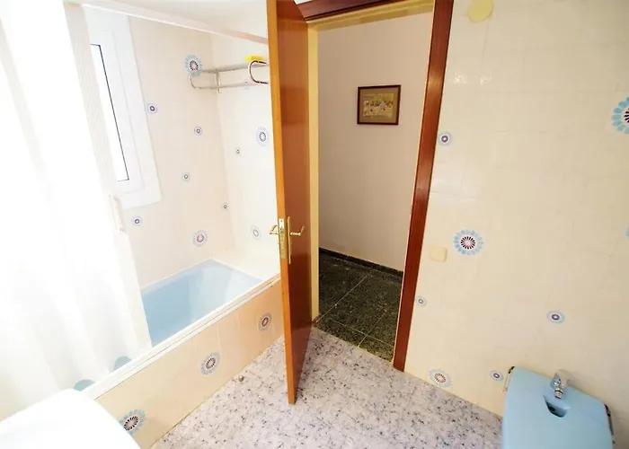 V&v Lloret- Ocells *