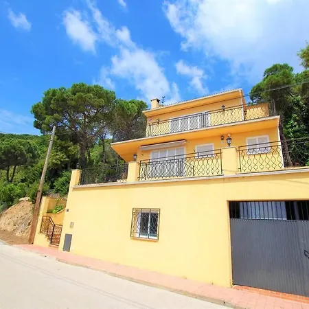 V&v Lloret- Ocells