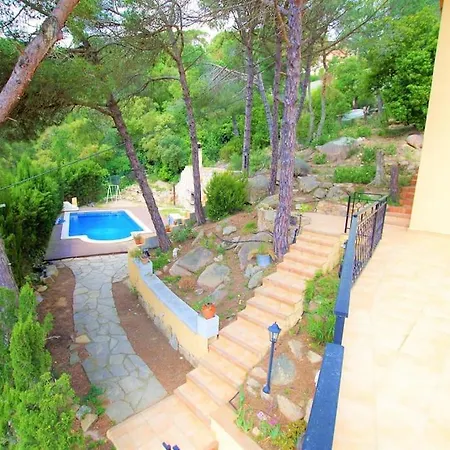 V&v Lloret- Ocells