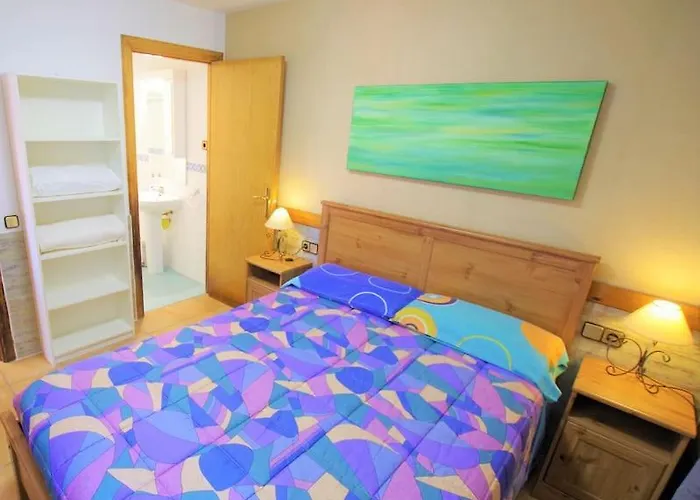 V&v Lloret- Ocells *